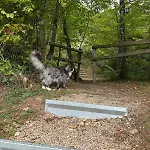 아파트 Am Eifelsteig Üxheim