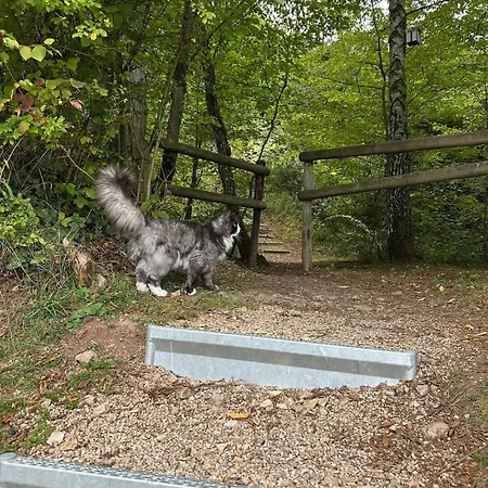 Apartment Am Eifelsteig Uxheim