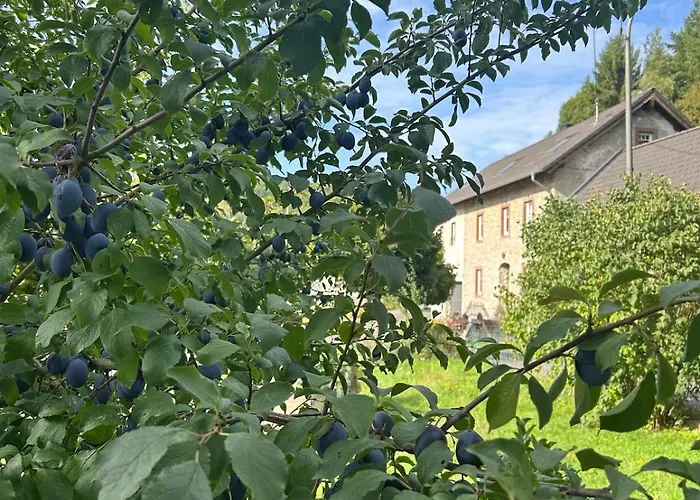 公寓 Am Eifelsteig